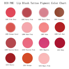 PMU Lip Blush TattooPigment ECO Permanent Makeup Pigment 10ml