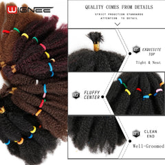 Wignee Kinky Twist Synthetic Hair Extensions For Black Women 12"Afro Kinky Bulk Black/Brown Crochet Braiding Twist Hair Bundles - Bellelooks