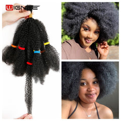 Wignee Kinky Twist Synthetic Hair Extensions For Black Women 12"Afro Kinky Bulk Black/Brown Crochet Braiding Twist Hair Bundles - Bellelooks