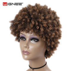 Wignee Short Hair Afro Kinky Curly Heat Resistant Synthetic Wigs for Black Women Mixed Brown Cosplay African Hairstyles Wigs - Bellelooks