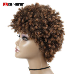 Wignee Short Hair Afro Kinky Curly Heat Resistant Synthetic Wigs for Black Women Mixed Brown Cosplay African Hairstyles Wigs - Bellelooks