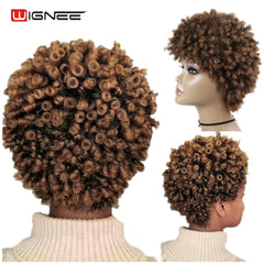 Wignee Short Hair Afro Kinky Curly Heat Resistant Synthetic Wigs for Black Women Mixed Brown Cosplay African Hairstyles Wigs - Bellelooks