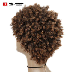 Wignee Short Hair Afro Kinky Curly Heat Resistant Synthetic Wigs for Black Women Mixed Brown Cosplay African Hairstyles Wigs - Bellelooks