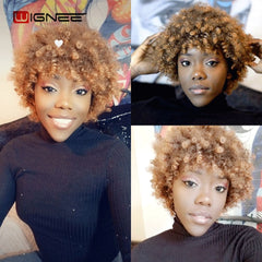 Wignee Short Hair Afro Kinky Curly Heat Resistant Synthetic Wigs for Black Women Mixed Brown Cosplay African Hairstyles Wigs - Bellelooks